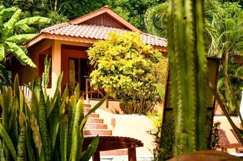 Hotel Ritmo Tropical Playa Santa Teresa  Bilik gambar